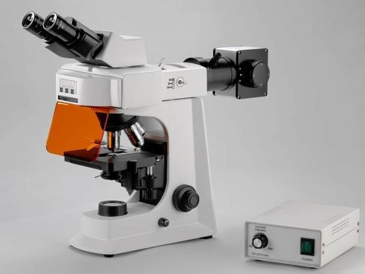 機械段階が付いているTrinocularの白い実験室の生物顕微鏡